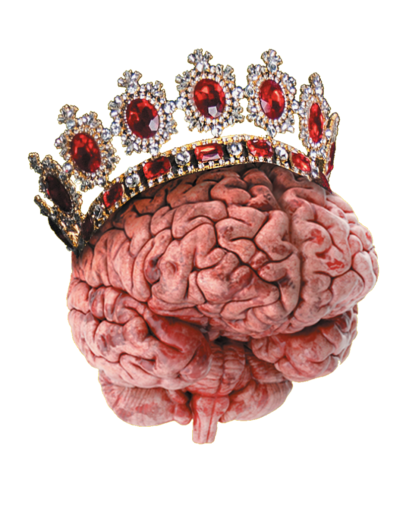 Brain with Crown PNG