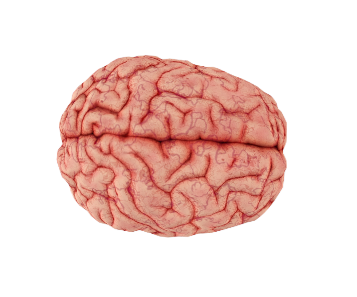 brain129