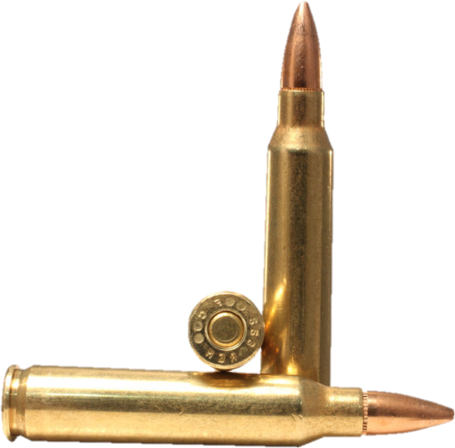 bullet-png-from-pngfre-12