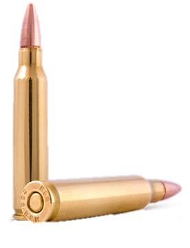 bullet-png-from-pngfre-14