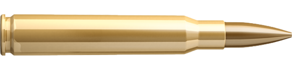 bullet-png-from-pngfre-18