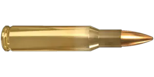 bullets png