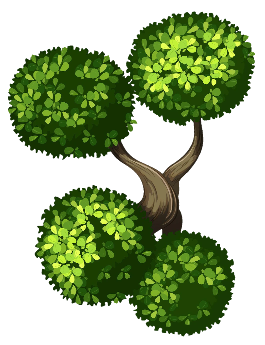 bush-png-from-pngfre-8