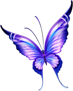 purple butterflies png