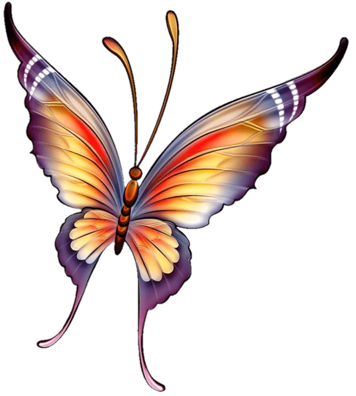 High Resolution Butterfly Png