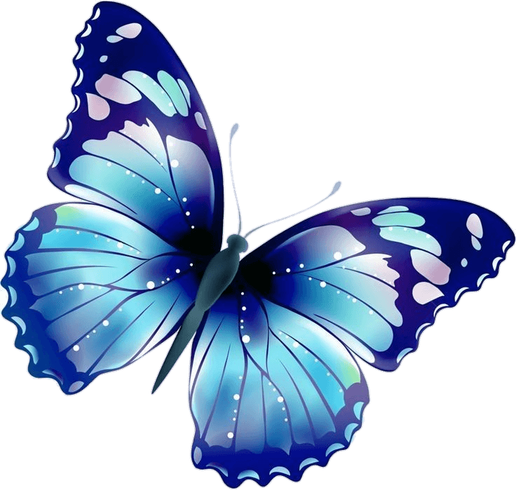 high resolution butterfly png