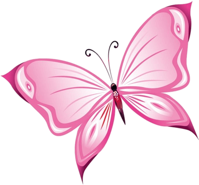 Butterfly Png clipart