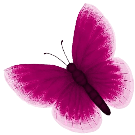 Pink Butterfly Png