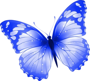 logo butterfly png clipart