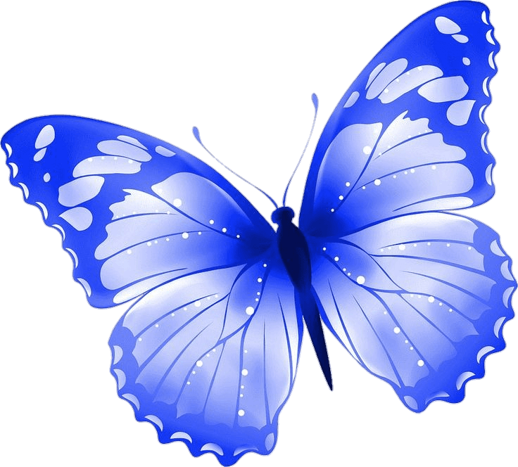 Transparent Butterfly Png