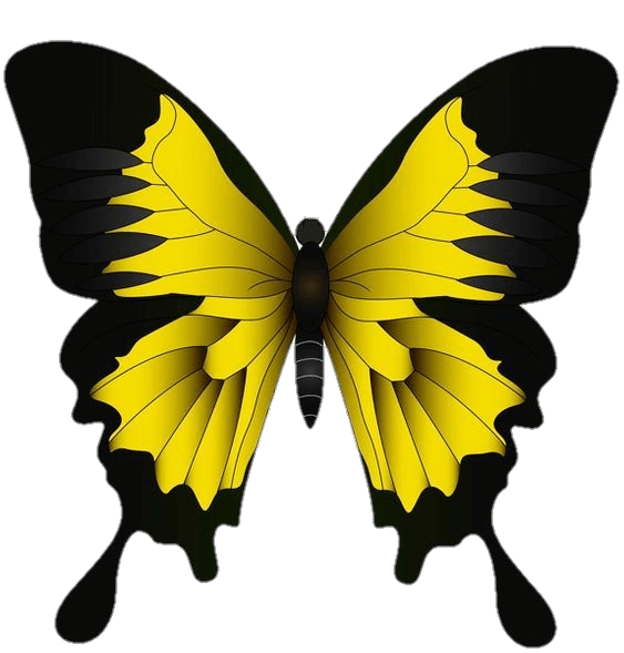 Butterfly Png Vector 