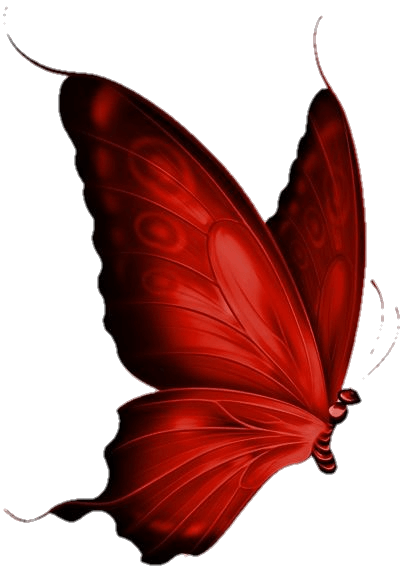 butterfly-21