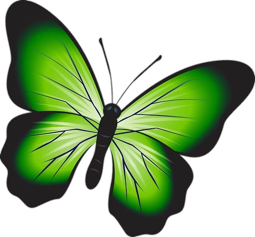 Green Butterfly Png