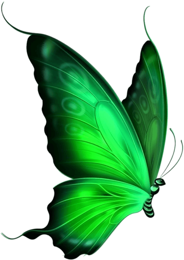 Beautiful Green Butterfly Png