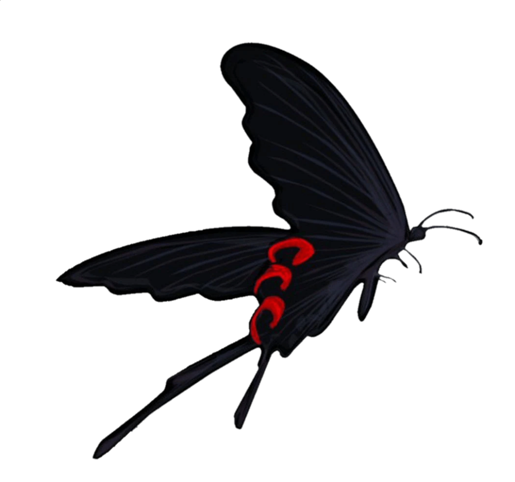 Black Butterfly Png