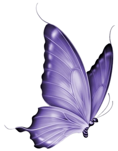 Violet Butterfly Png
