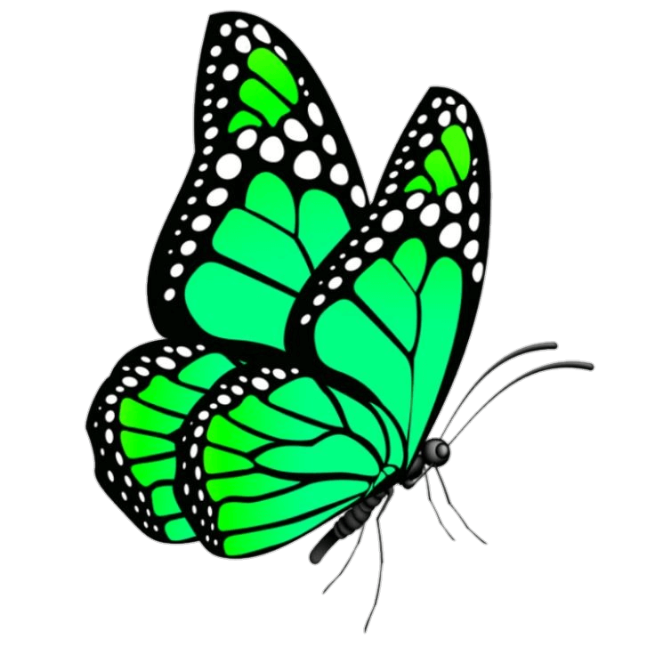 Green Butterfly Png vector 