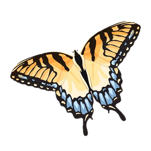 Yellow Butterfly Png Vector 