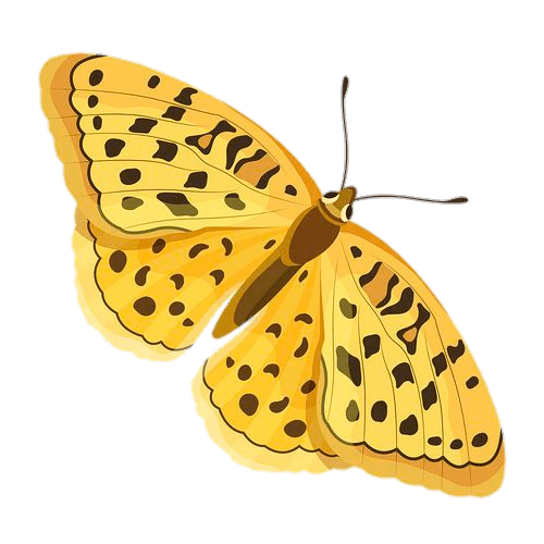 Yellow Butterfly Png vector 