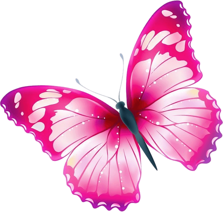 Beautiful Butterfly Png