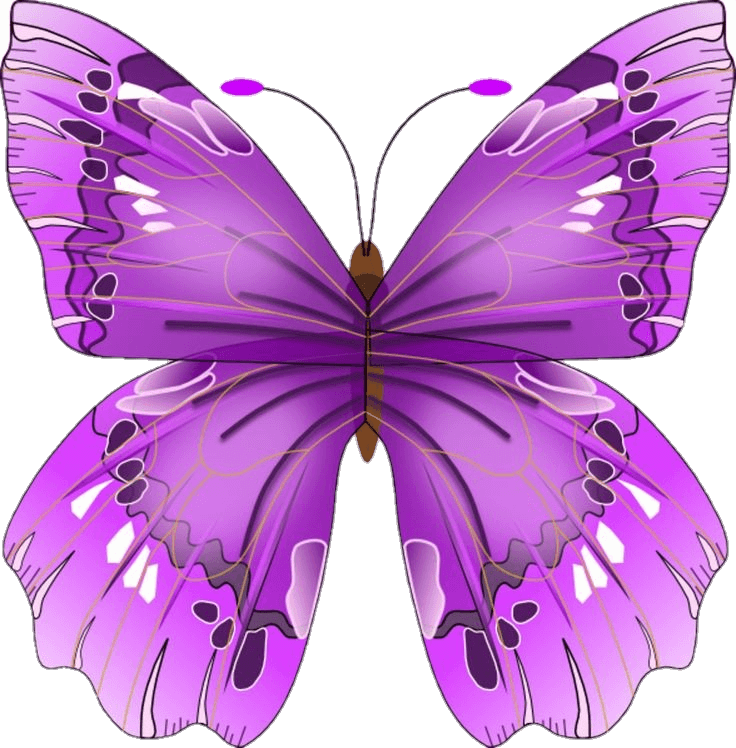 Purple Butterfly Png Clipart