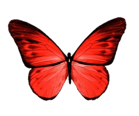 Red Butterfly Png