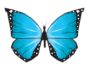 Blue Butterfly Vector PNG