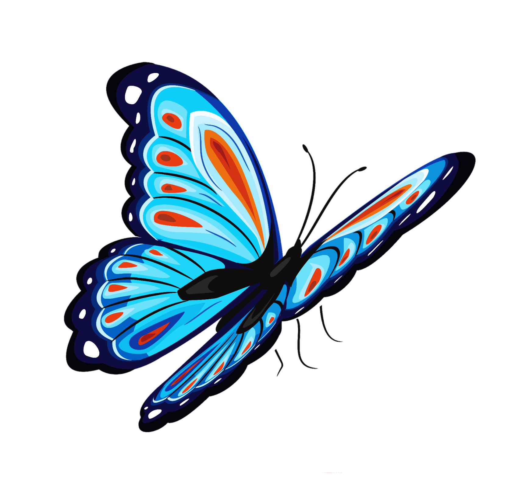 butterfly-from-pngfre-54