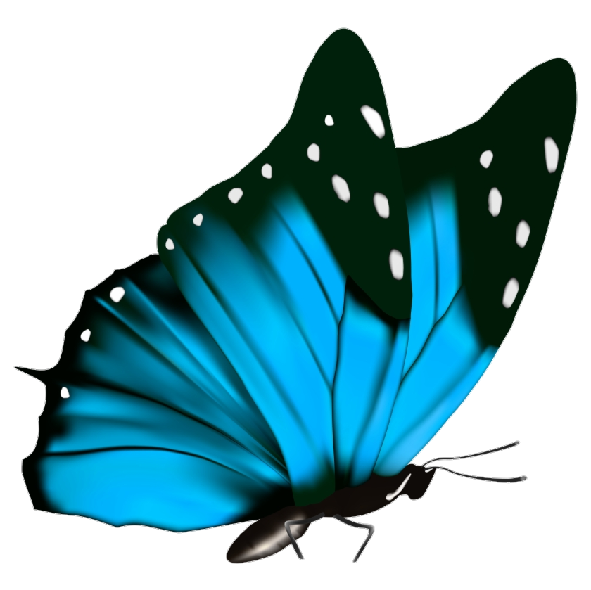 Clipart Butterfly Png