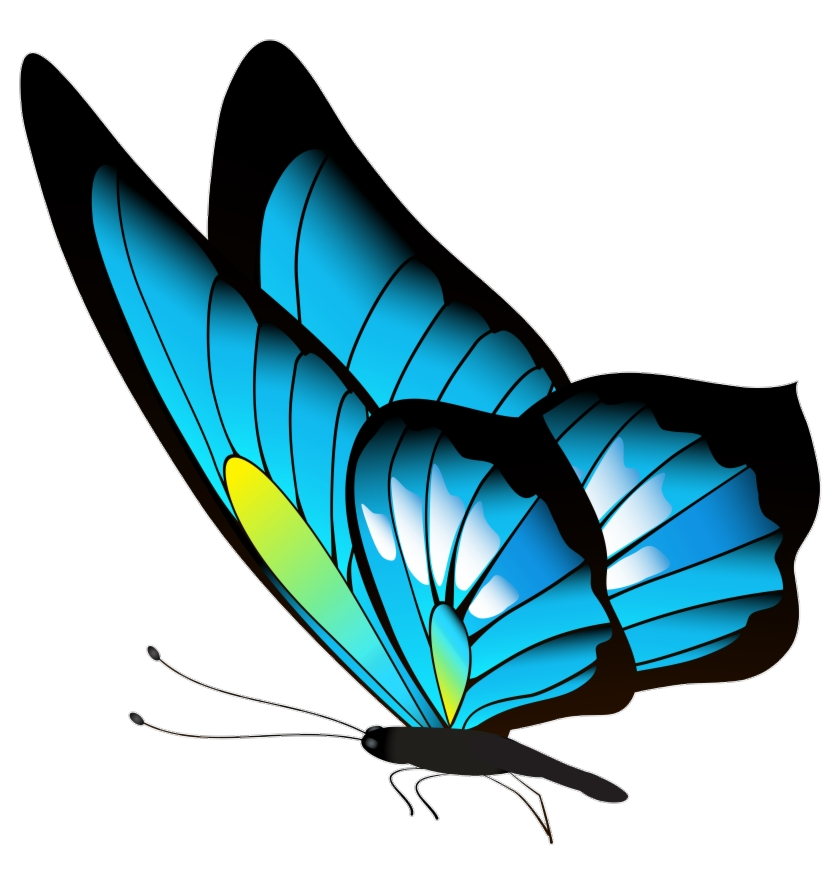 Blue Butterfly Clipart Png