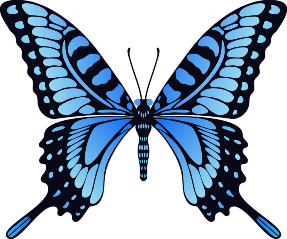 Clipart Butterfly Png