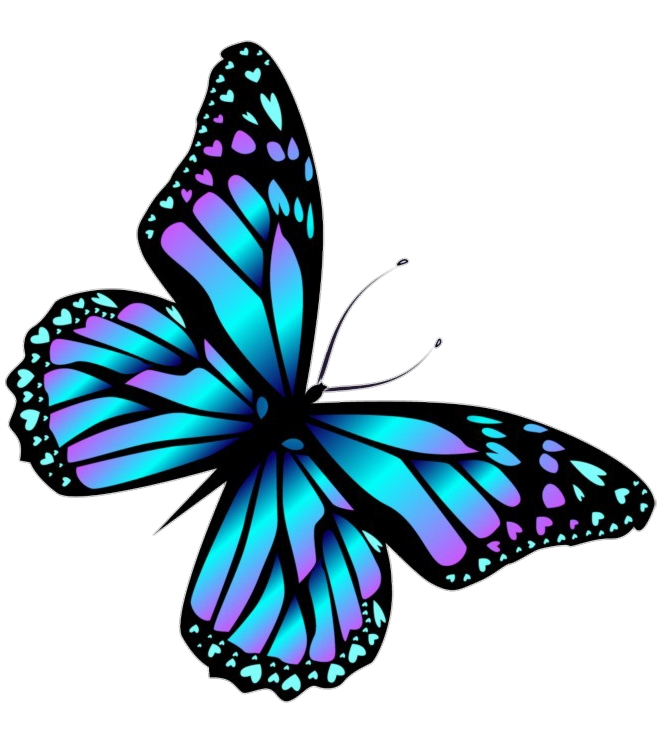 Transparent Background Butterfly Png