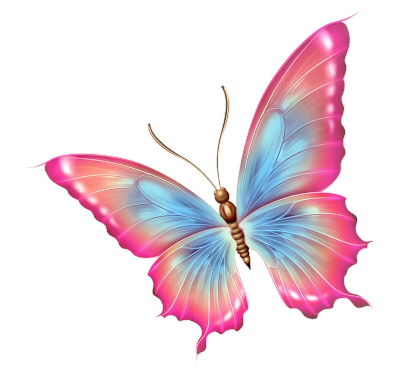 butterfly-from-pngfre-61