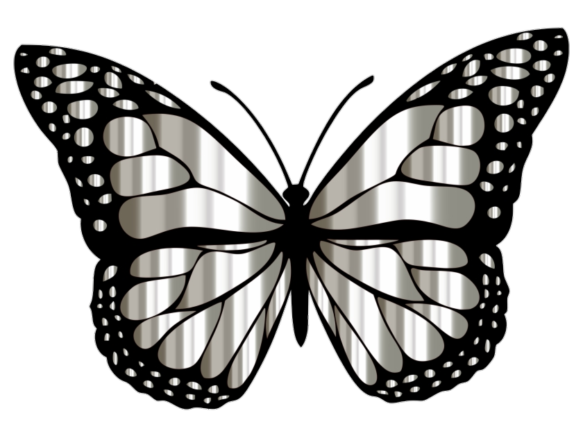 High Resolution Butterfly Png