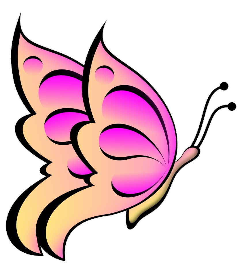 Butterfly Logo Png