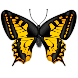 Yellow black Butterfly Png