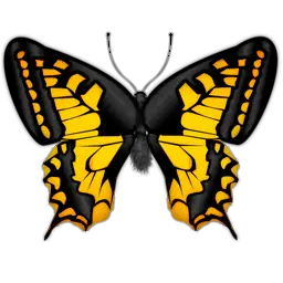 butterfly-from-pngfre-71-1