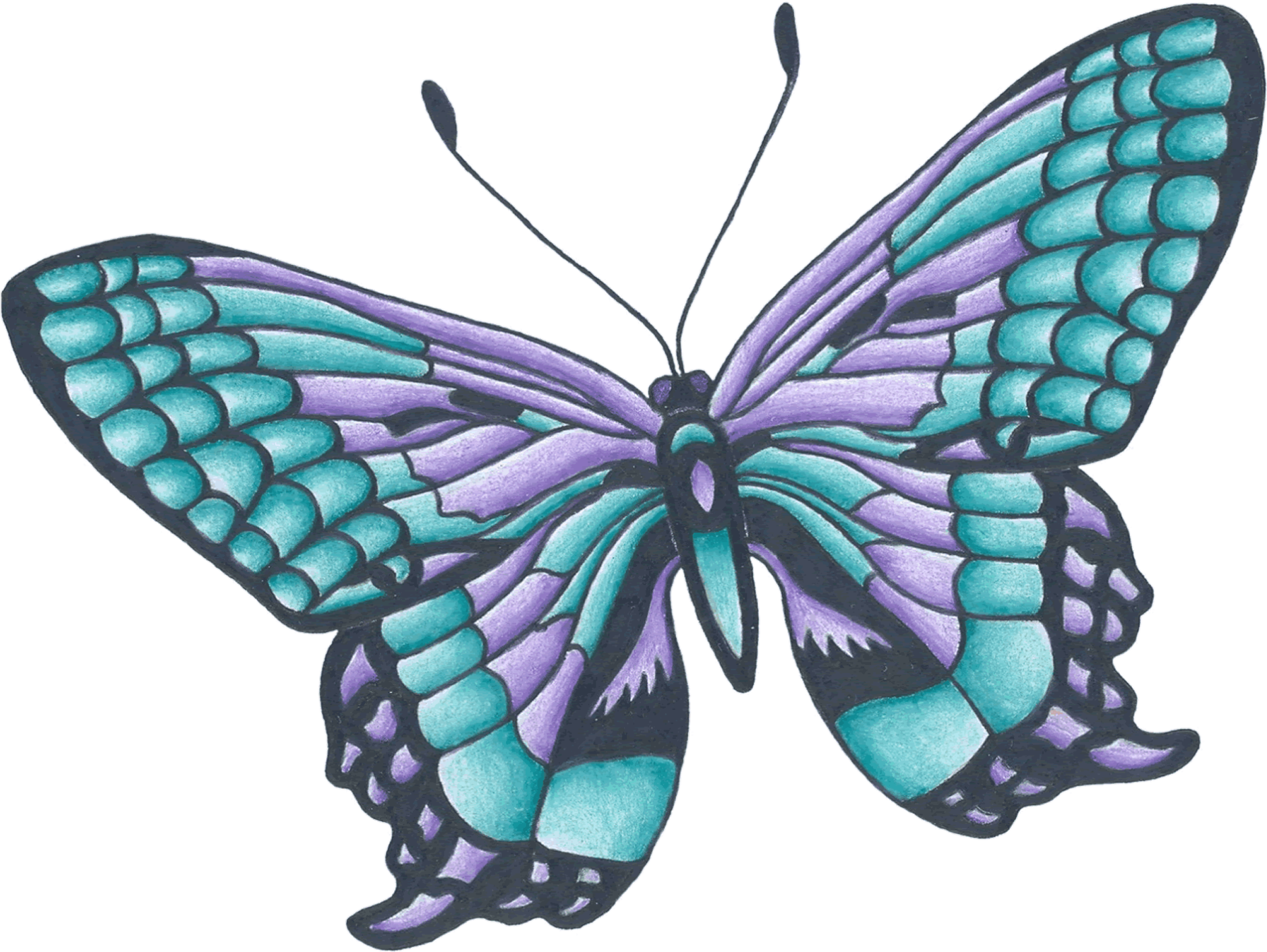 butterfly-png-image-pngfre-72