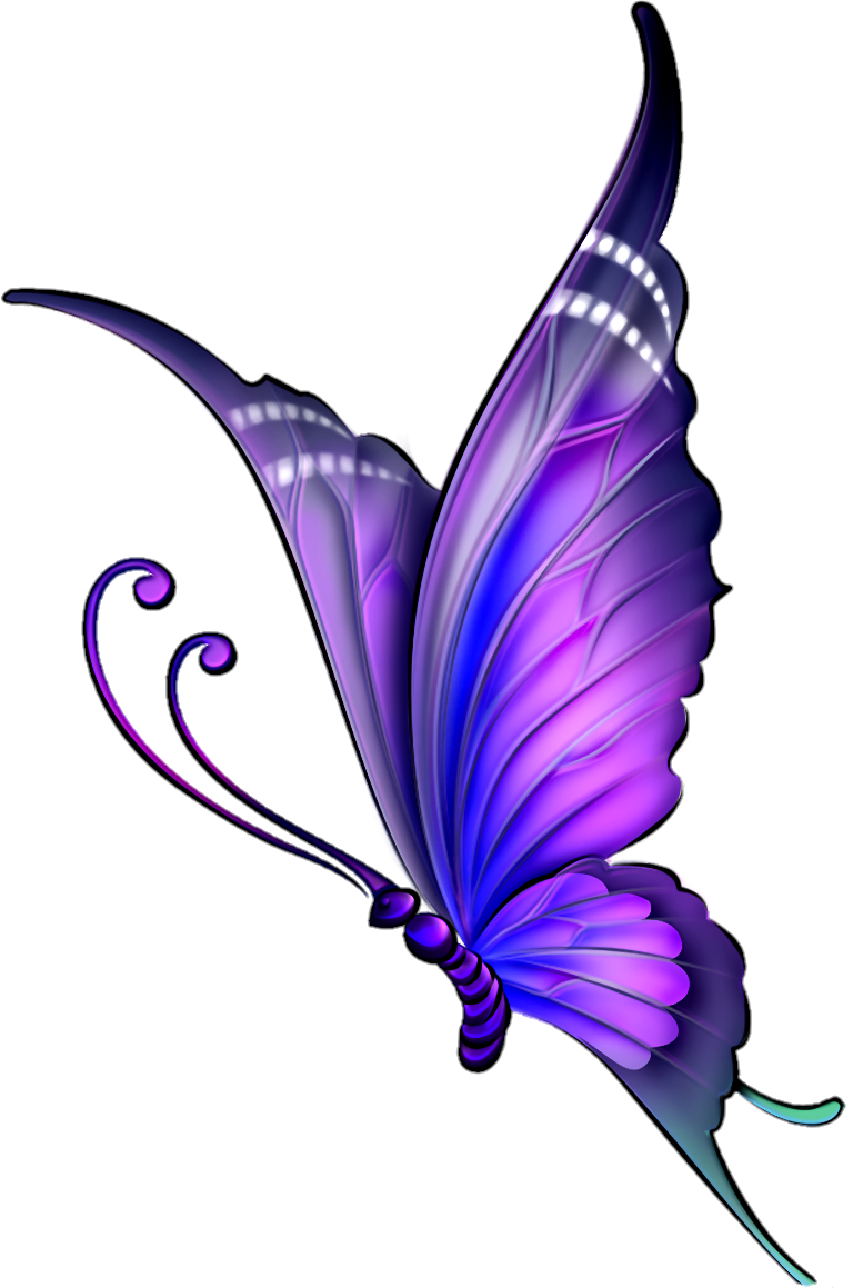 butterfly-png-image-pngfre-79