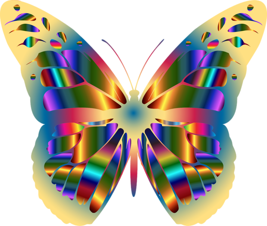 Picsart Butterfly PNG