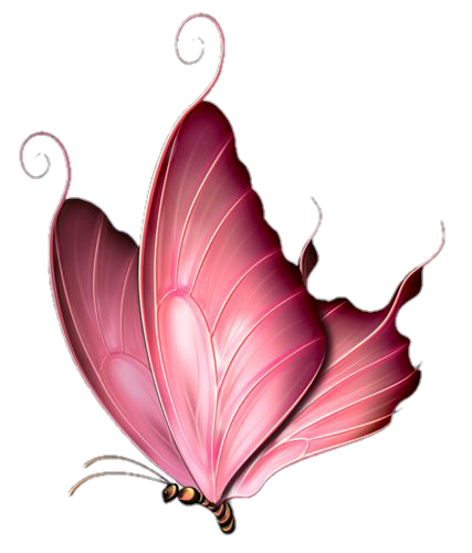 butterfly-png-image-pngfre-83
