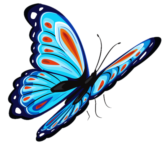 Butterfly PNG Clipart