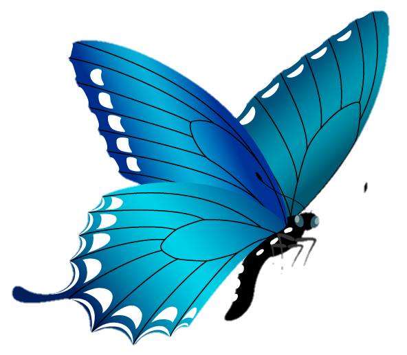 Transparent Butterfly PNG vector