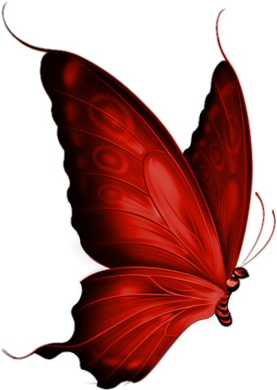 Red Butterfly PNG Vector 