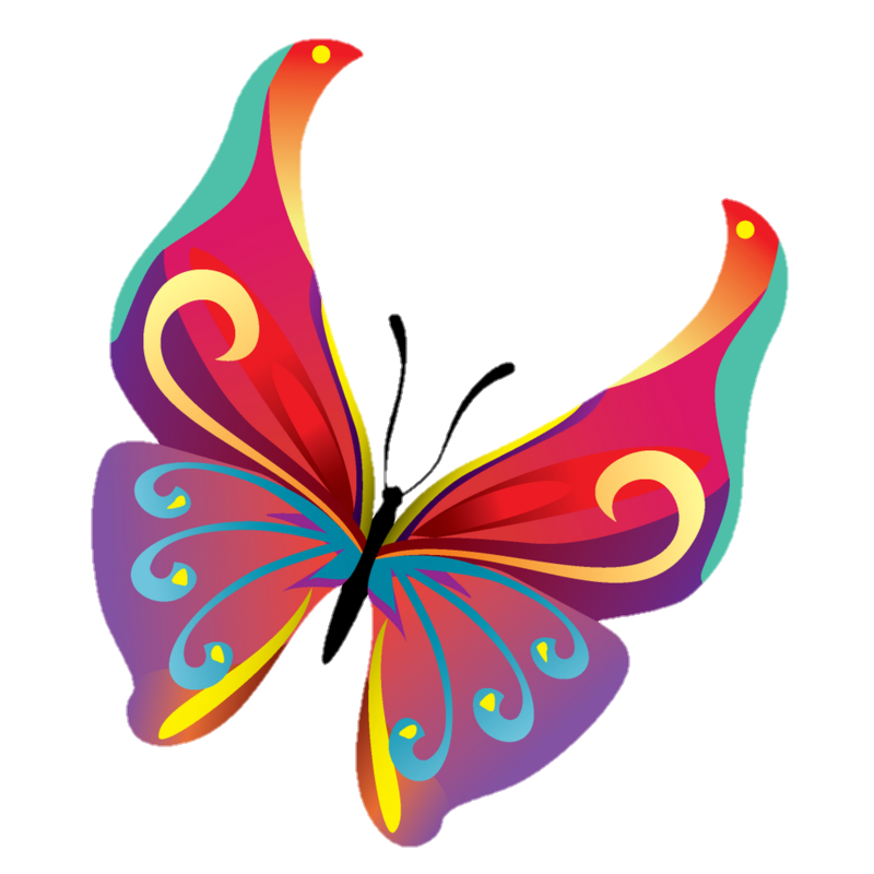 Animated Butterfly PNG