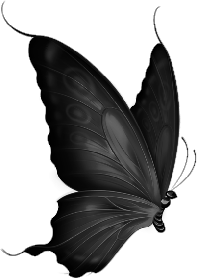 Black Butterfly PNG