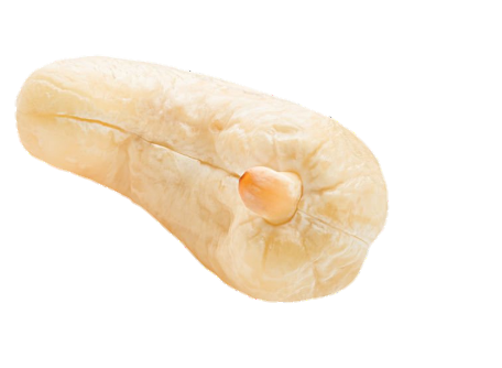 cashew-11