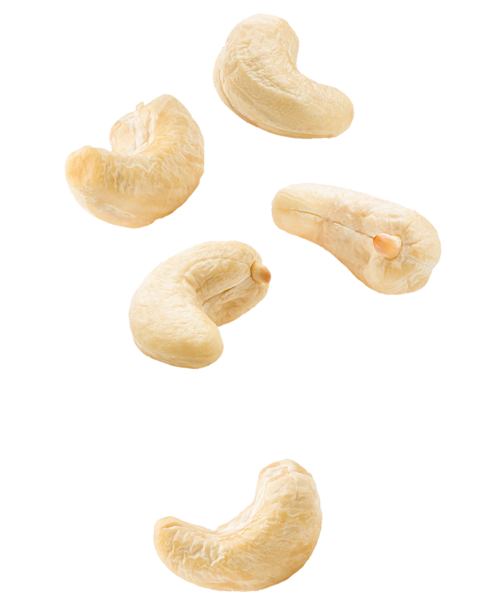 cashew-15