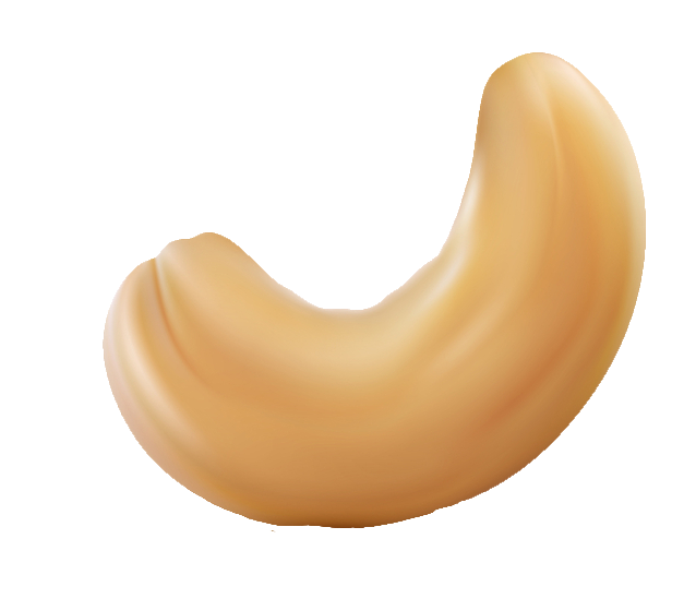 Animated Cashew Nut PNG
