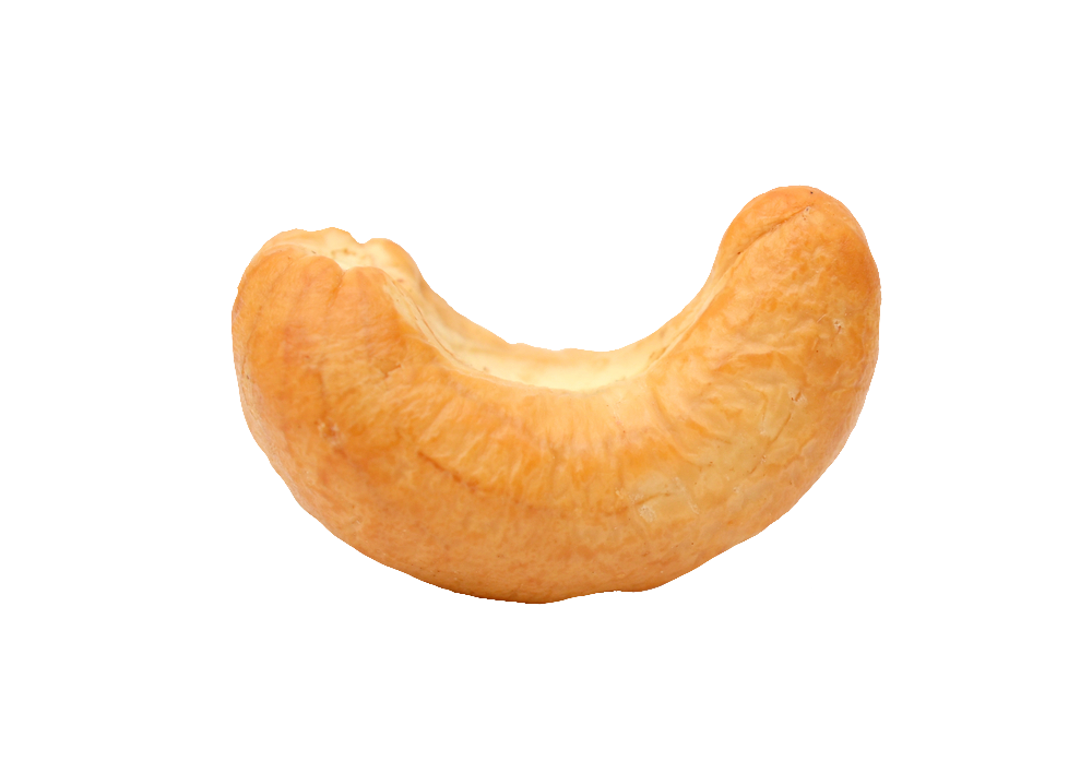 One Cashew Nut PNG